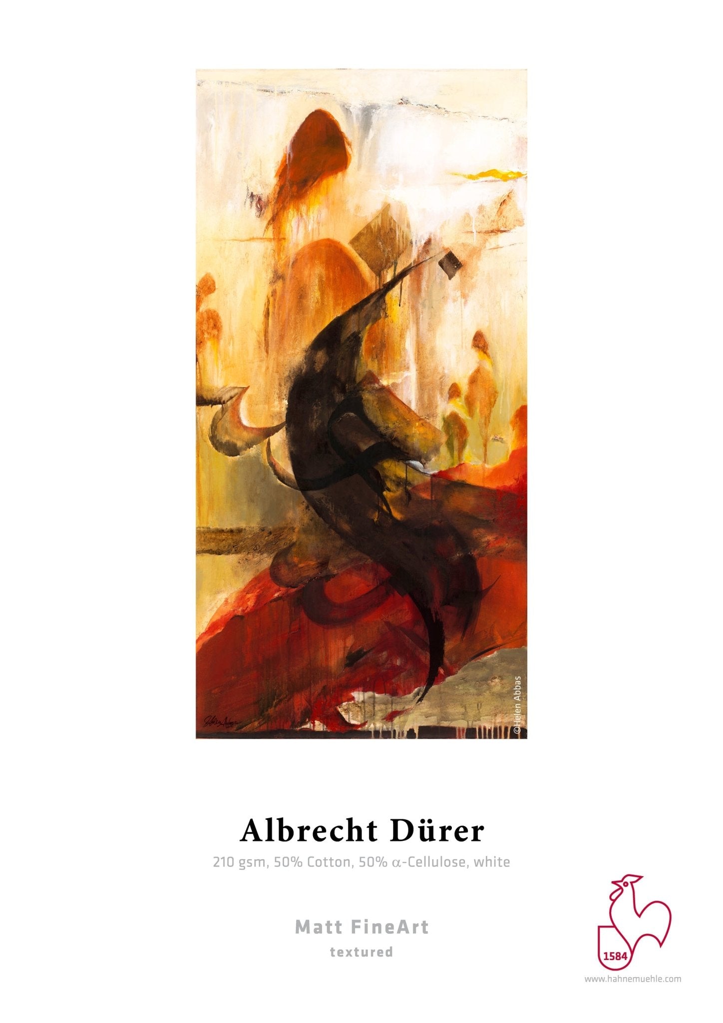 Albrecht Dürer - FineArt Printing Hoorn