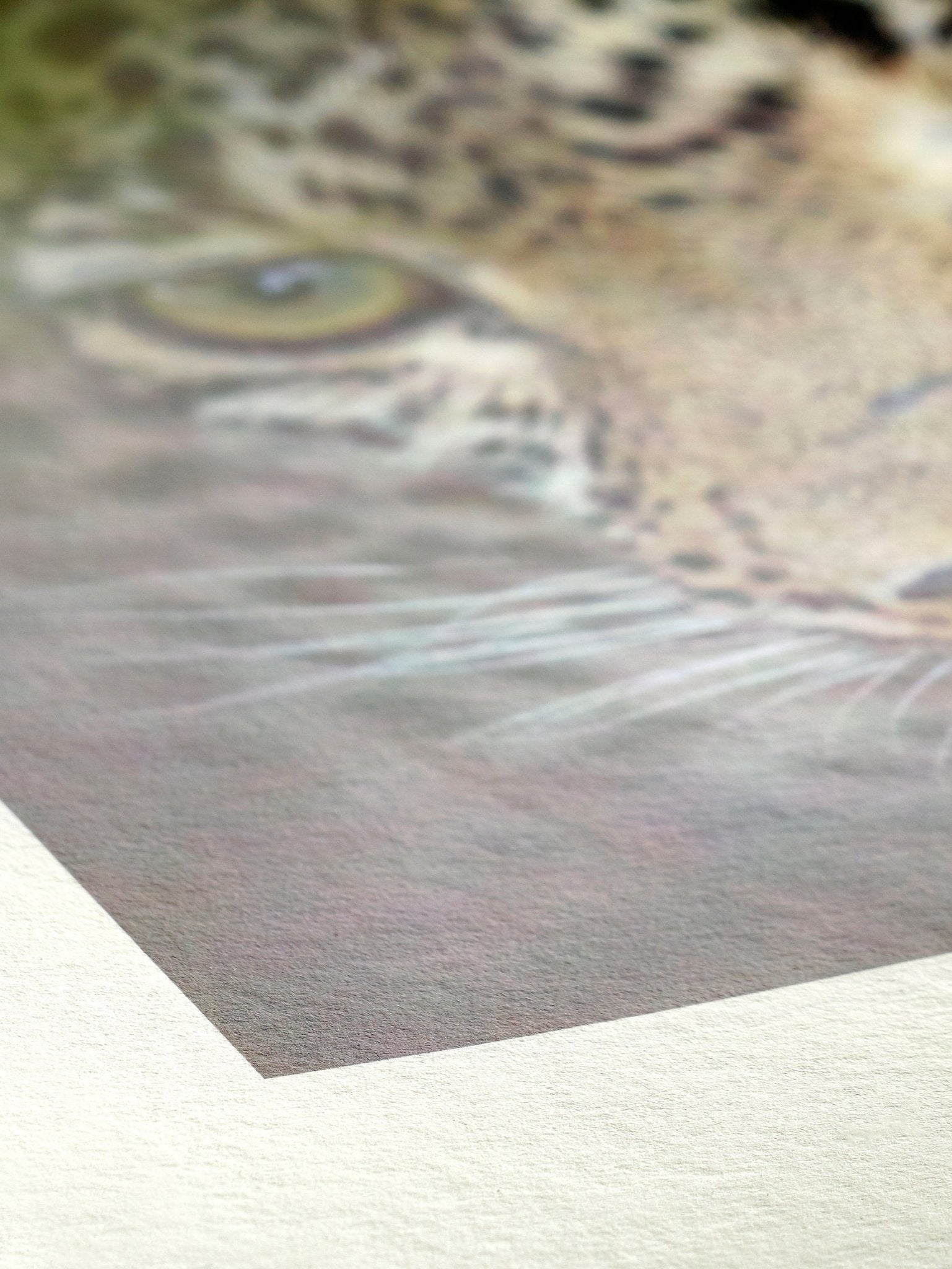 Bamboo - FineArt Printing Hoorn