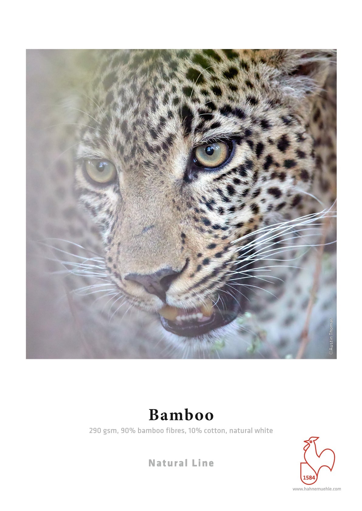 Bamboo - FineArt Printing Hoorn