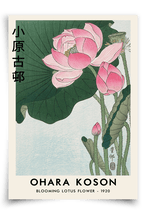 Blooming Lotus - FineArt Printing Hoorn