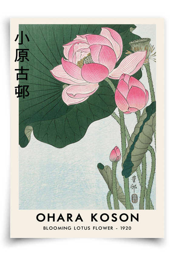 Blooming Lotus - FineArt Printing Hoorn