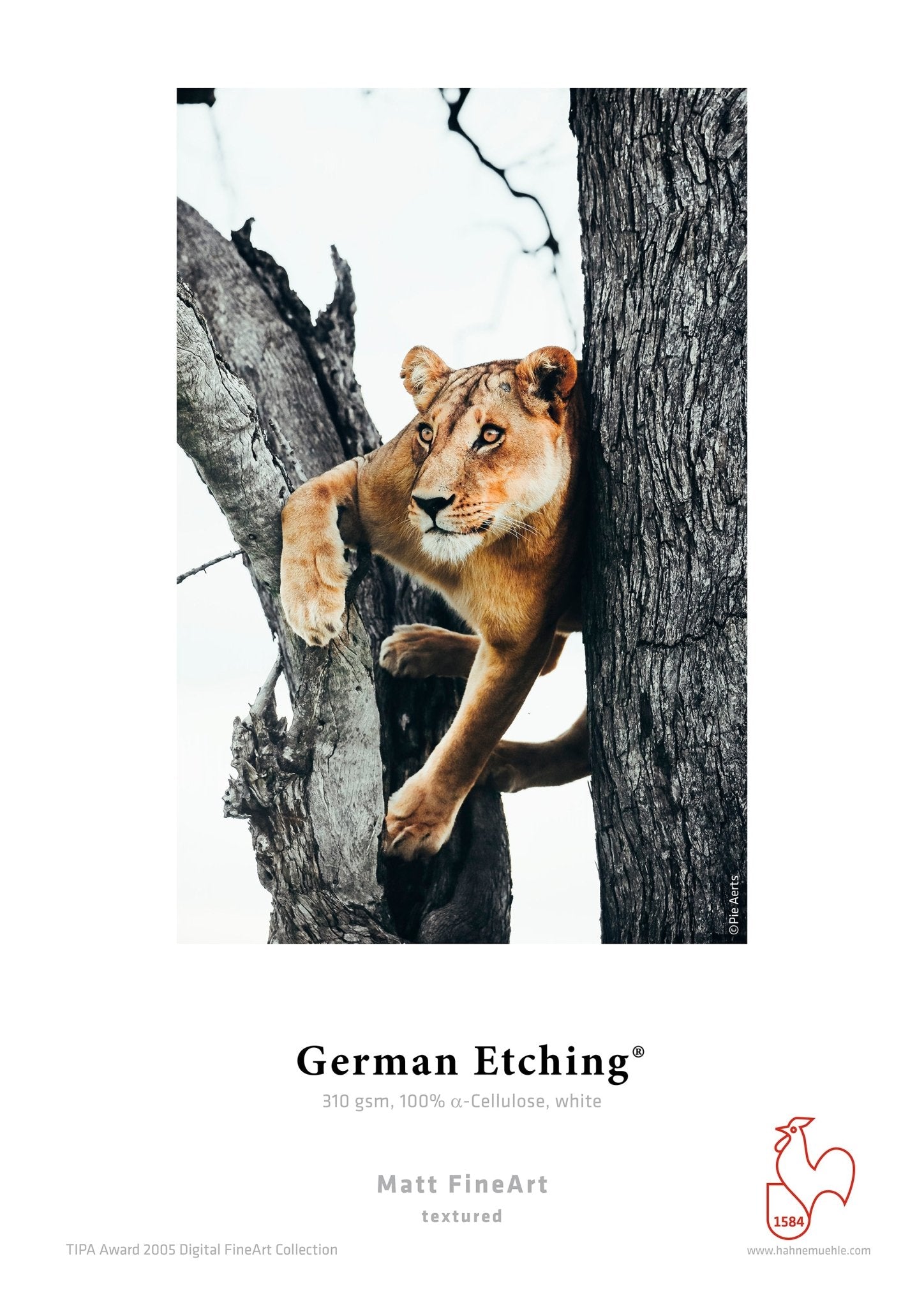 German Etching - FineArt Printing Hoorn