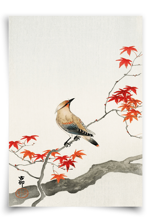 Japanese plague bird - FineArt Printing Hoorn