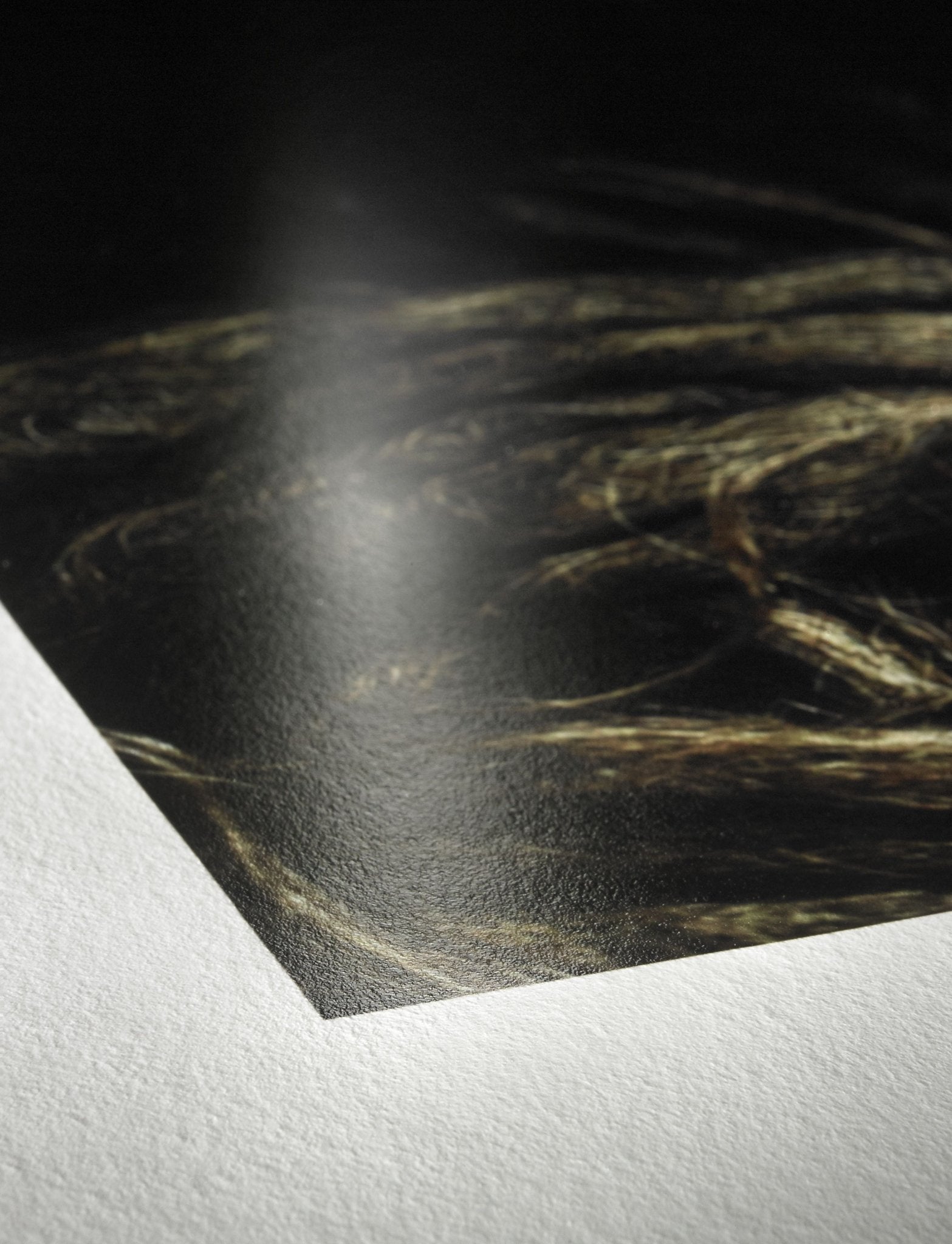 Photo Rag® Baryta - FineArt Printing Hoorn