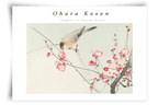 Songbird on blossem branch - FineArt Printing Hoorn