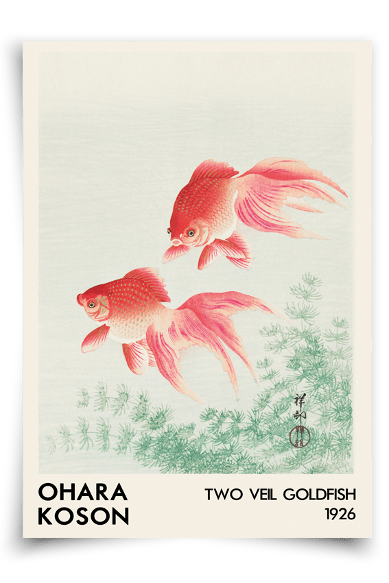 Two veil goldfish - FineArt Printing Hoorn