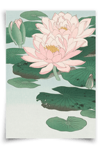 Water Lily - FineArt Printing Hoorn