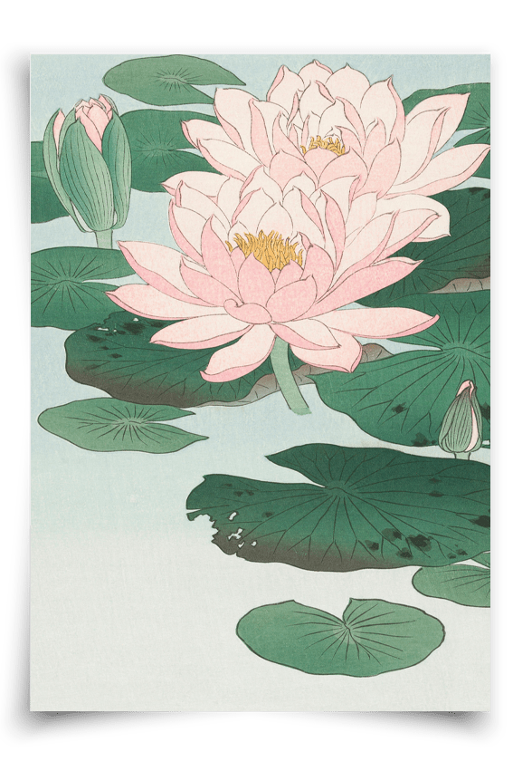 Water Lily - FineArt Printing Hoorn
